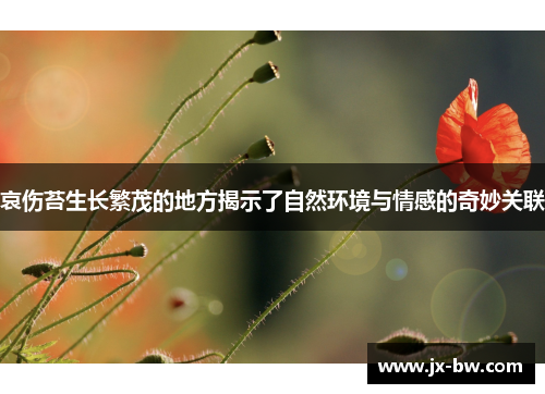 哀伤苔生长繁茂的地方揭示了自然环境与情感的奇妙关联