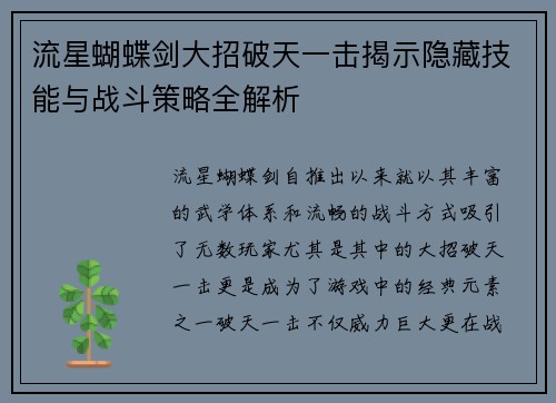 流星蝴蝶剑大招破天一击揭示隐藏技能与战斗策略全解析